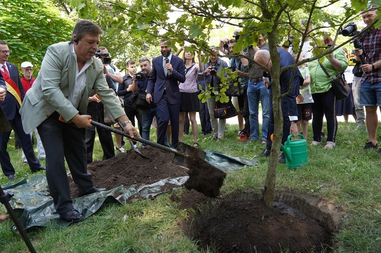 O Edycie Stein w parku i w tramwaju, na dworcu i na pl. Solnym we Wrocławiu