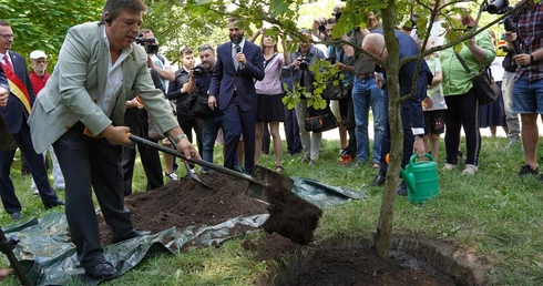 O Edycie Stein w parku i w tramwaju, na dworcu i na pl. Solnym we Wrocławiu