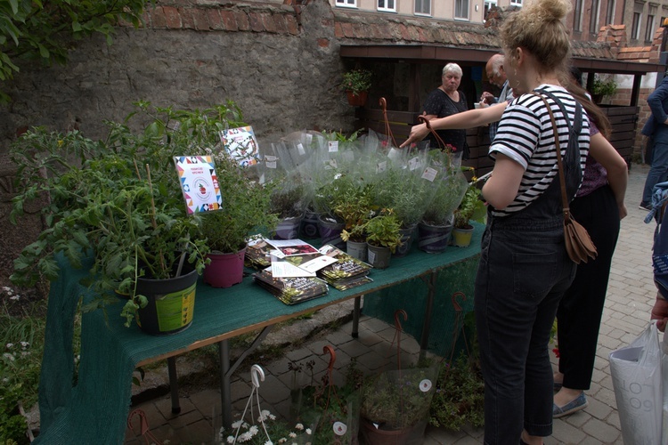 Odpust gdańskich dominikanów 2022