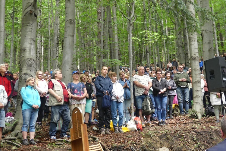 Rzesze pielgrzymów u Matki Bożej Śnieżnej w "bukowej bazylice" na Trzonce