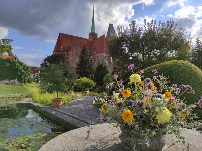 Sierpniowe piękno w sercu Wrocławia