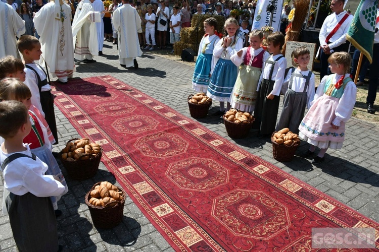 Dziękczynienie za plony w Rokitnie