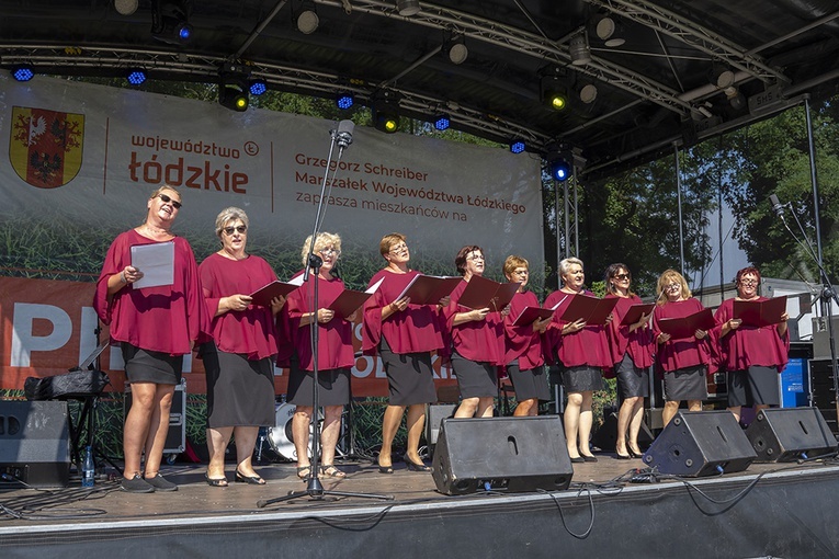Piknik wojewódzki w Boczkach Chełmońskich