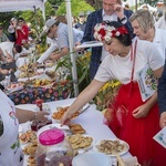 Piknik wojewódzki w Boczkach Chełmońskich