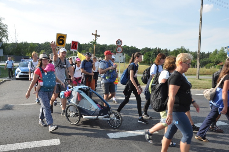 Strumień nyski w Gogolinie