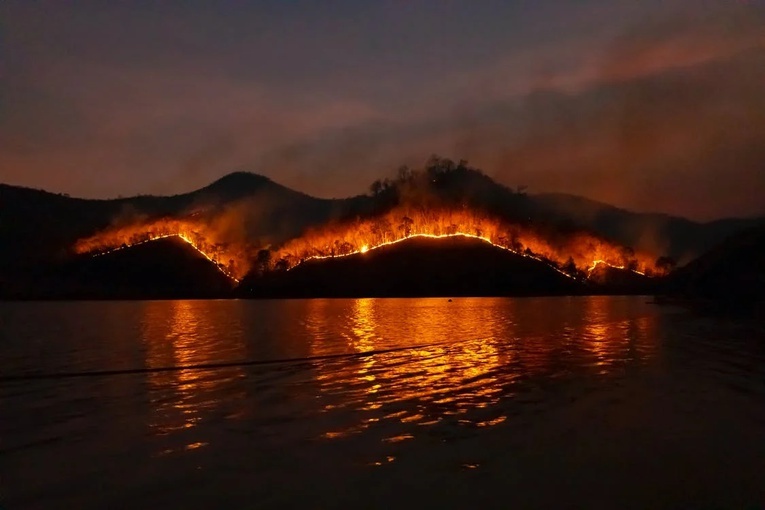 Francja: Aresztowano 25 osób podejrzanych o podpalenia lasów i pól