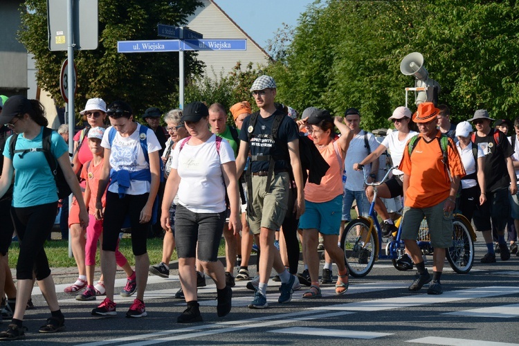 Strumień opolski w Dolnej