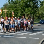 Strumień opolski w Dolnej