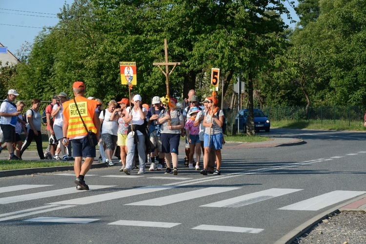 Strumień opolski w Dolnej