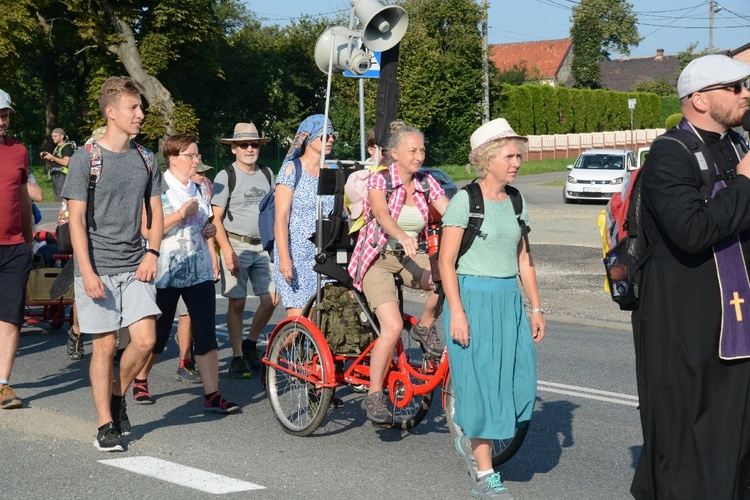 Strumień opolski w Dolnej