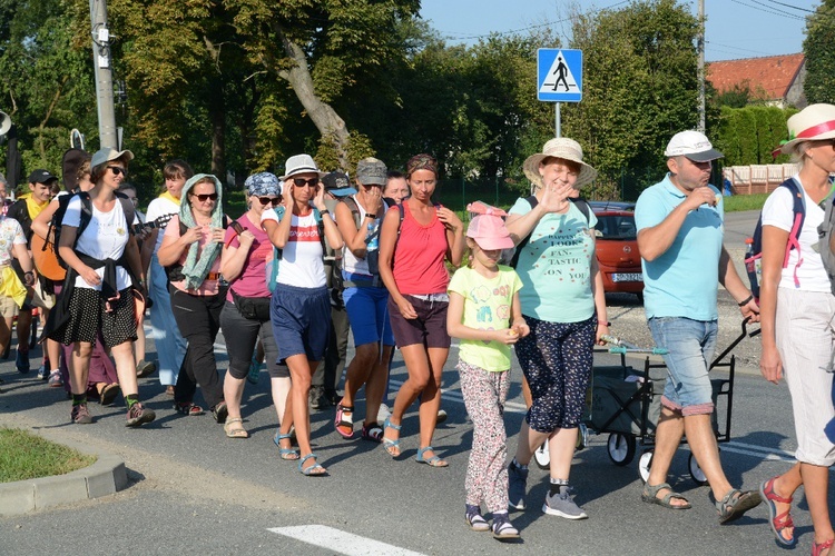 Strumień opolski w Dolnej