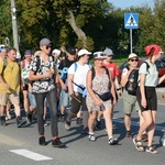 Strumień opolski w Dolnej