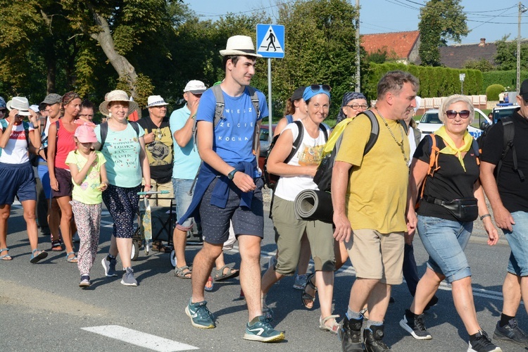 Strumień opolski w Dolnej