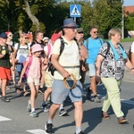 Strumień opolski w Dolnej