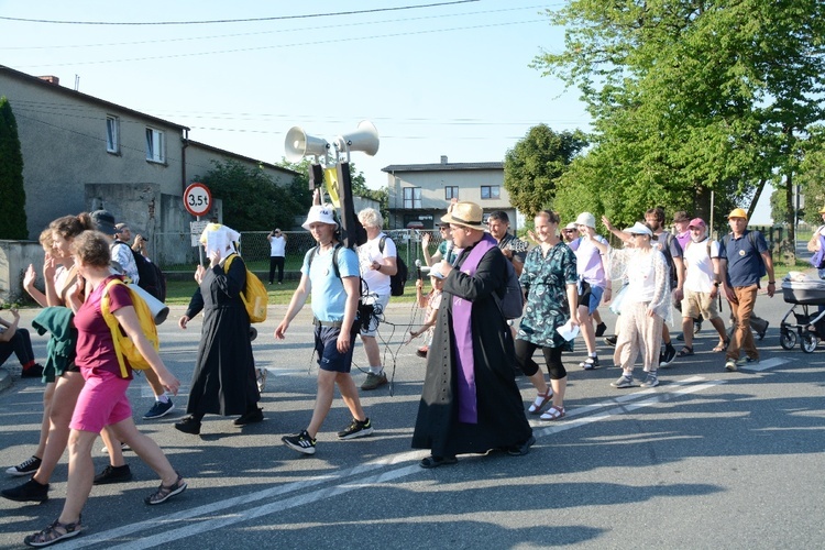 Strumień opolski w Dolnej