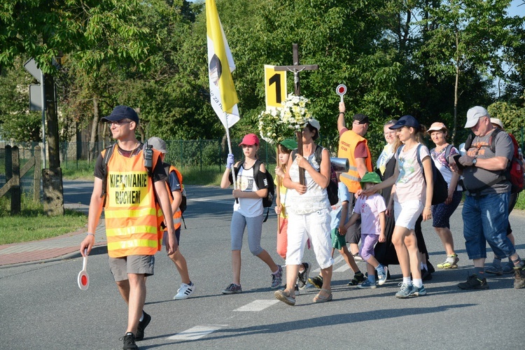 Strumień opolski w Dolnej