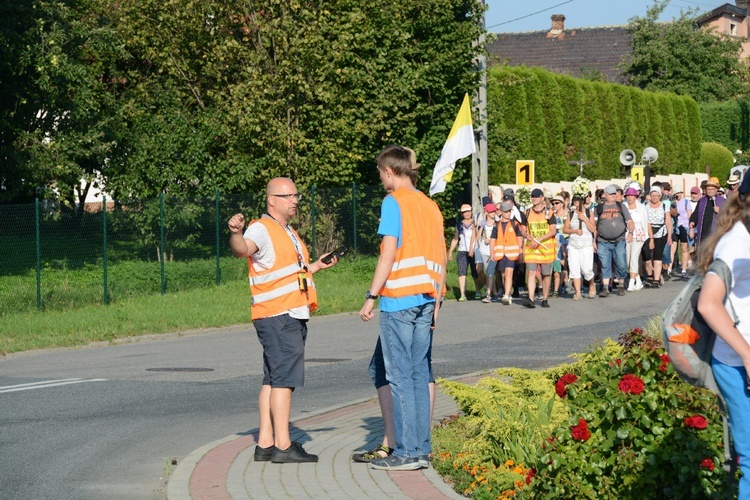 Strumień opolski w Dolnej