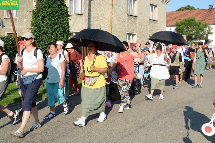 Strumień opolski w Dolnej