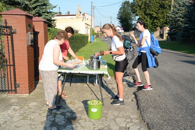 Strumień opolski w Dolnej