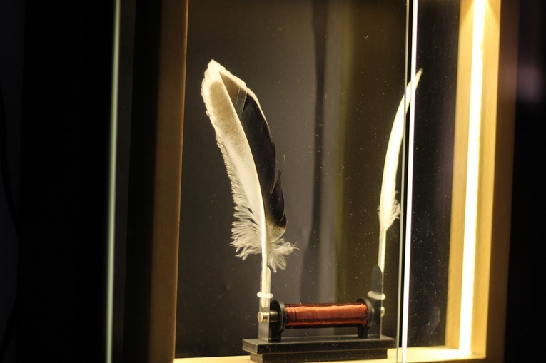 Muzeum Iluzji w Krakowie