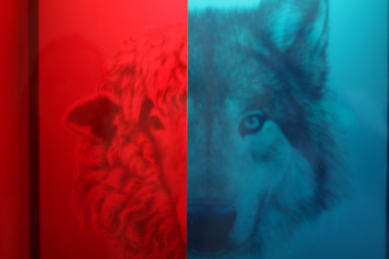 Muzeum Iluzji w Krakowie