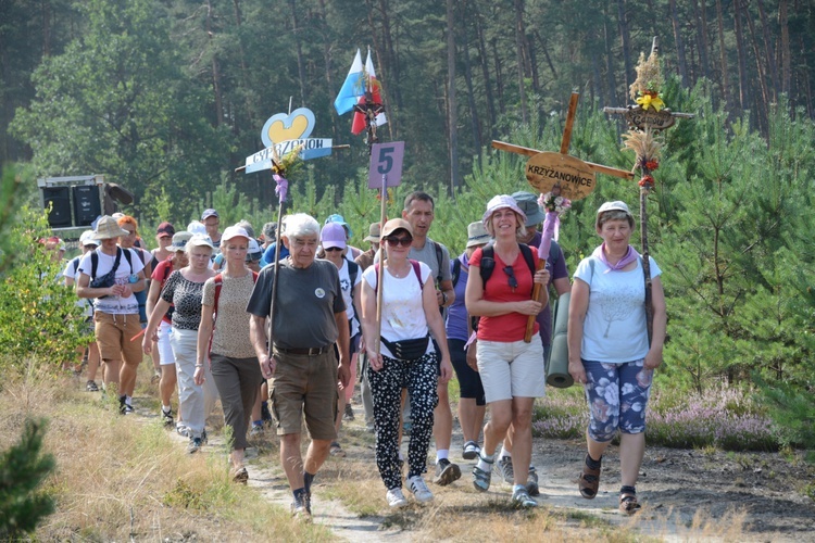 Czwartkowa droga przez las