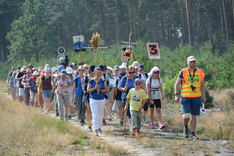 Czwartkowa droga przez las