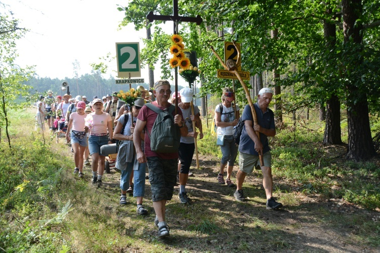 Czwartkowa droga przez las