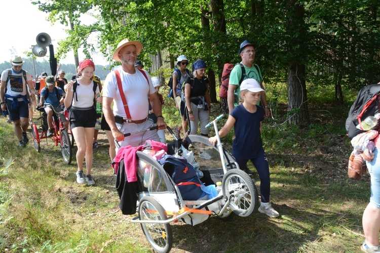 Czwartkowa droga przez las