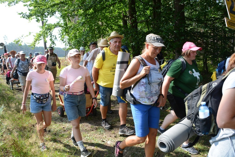 Czwartkowa droga przez las