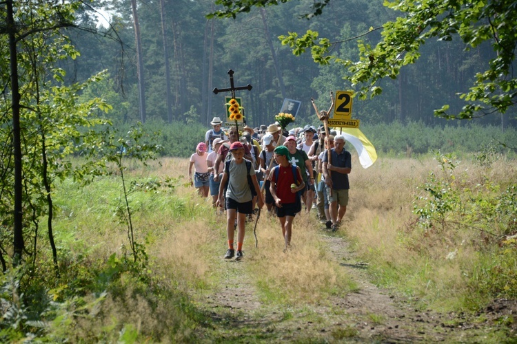 Czwartkowa droga przez las