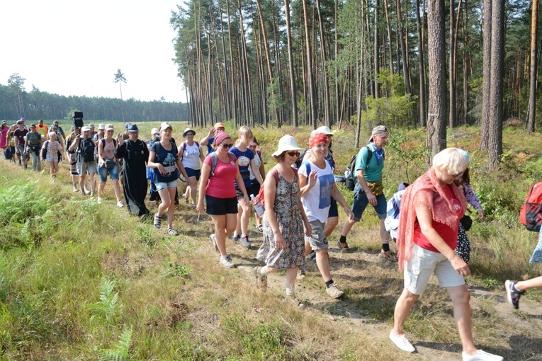 Czwartkowa droga przez las