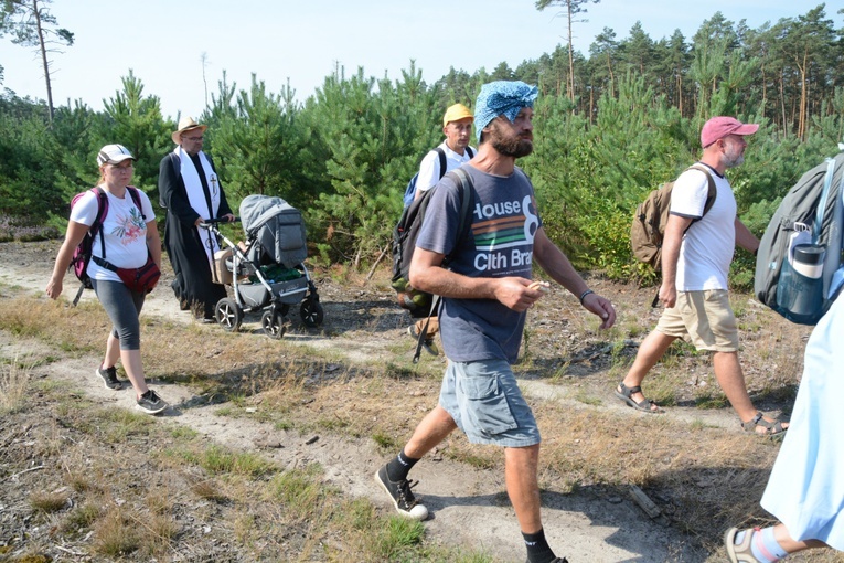 Czwartkowa droga przez las
