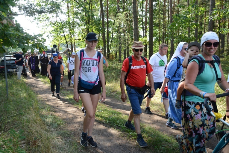Czwartkowa droga przez las