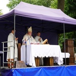 V Pielgrzymka Żywego Różańca i czcicieli Matki Bożej do Henrykowa