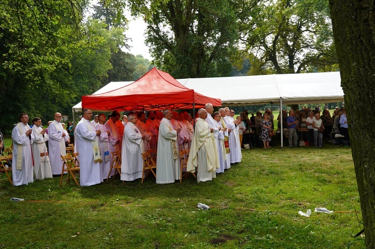 V Pielgrzymka Żywego Różańca i czcicieli Matki Bożej do Henrykowa