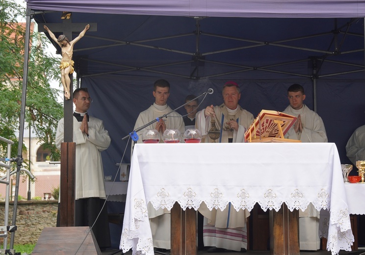 V Pielgrzymka Żywego Różańca i czcicieli Matki Bożej do Henrykowa