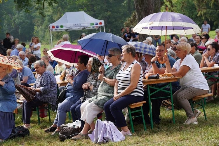 V Pielgrzymka Żywego Różańca i czcicieli Matki Bożej do Henrykowa