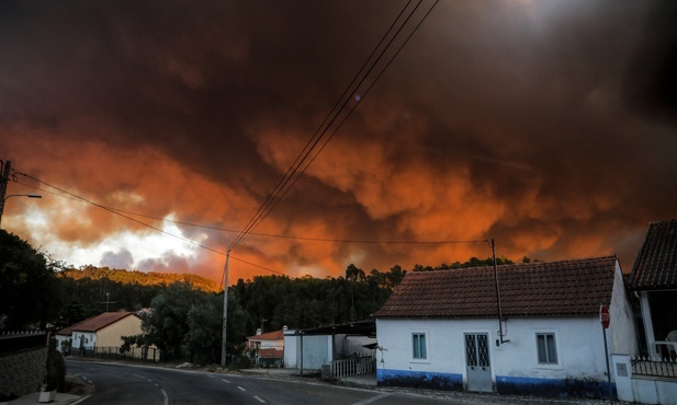 Europejscy biskupi: pożary trawiące kontynent to prawdziwa katastrofa