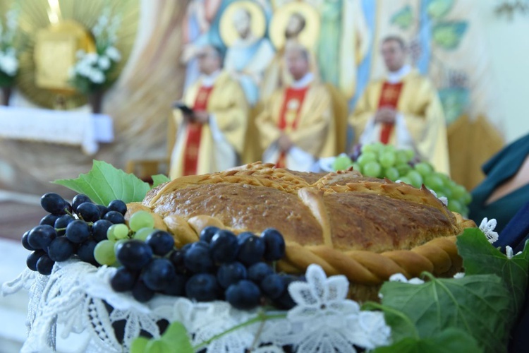 Nawiślańskie Dożynki w Borkach