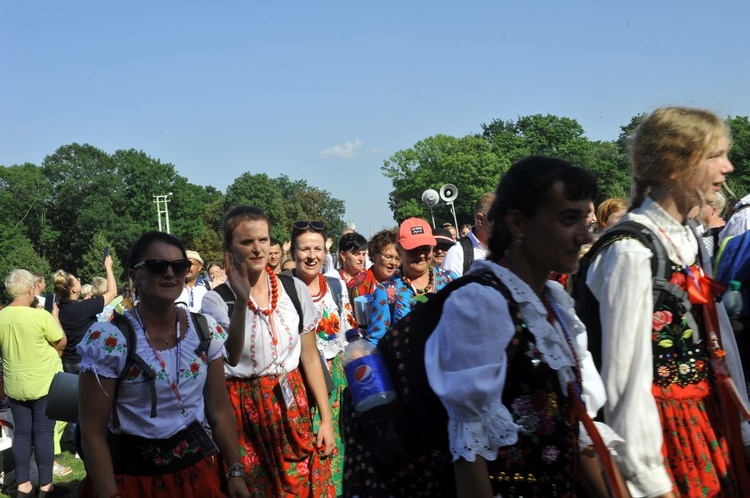 Grupa 19 - wejście