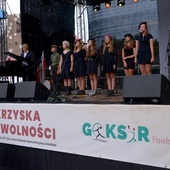Oprócz artystów znanych szerokiej publiczności w Polsce, na scenie z powodzeniem i uznaniem publiczności zaprezentowały się zespoły z gminy Pawłów.