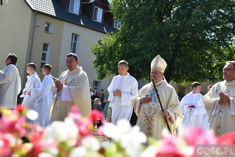 Pielgrzymka Ruchu Światło-Życie do Rokitna