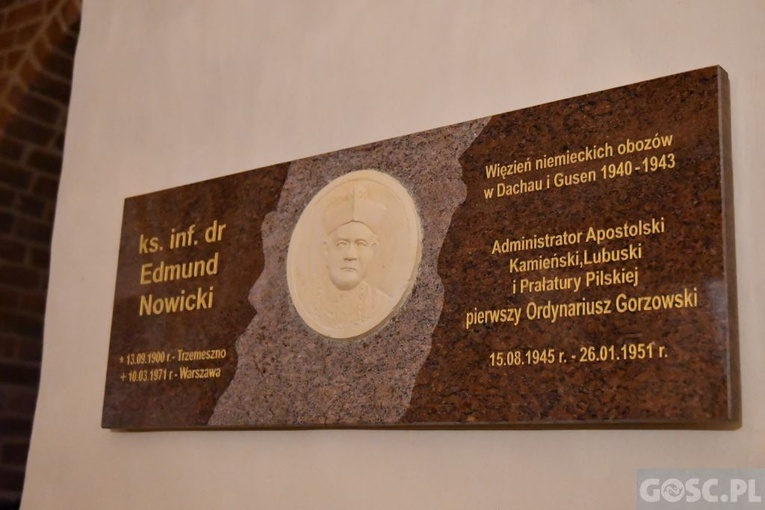 Wręczenie odznaczenia Zasłużony dla Diecezji Zielonogórsko-Gorzowskiej