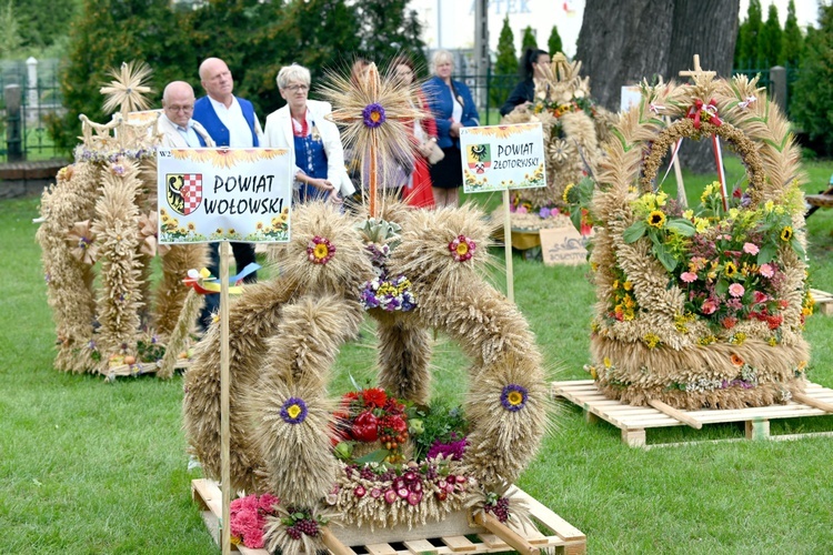 Udanin. Dolny Śląsk podziękował za plony