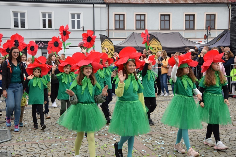 45. Skierniewickie Święto Kwiatów, Owoców i Warzyw. Parada