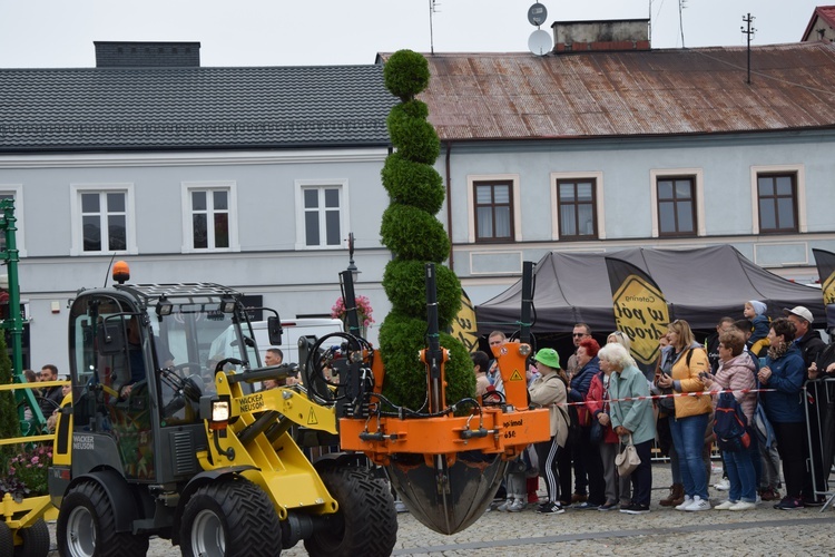 45. Skierniewickie Święto Kwiatów, Owoców i Warzyw. Parada