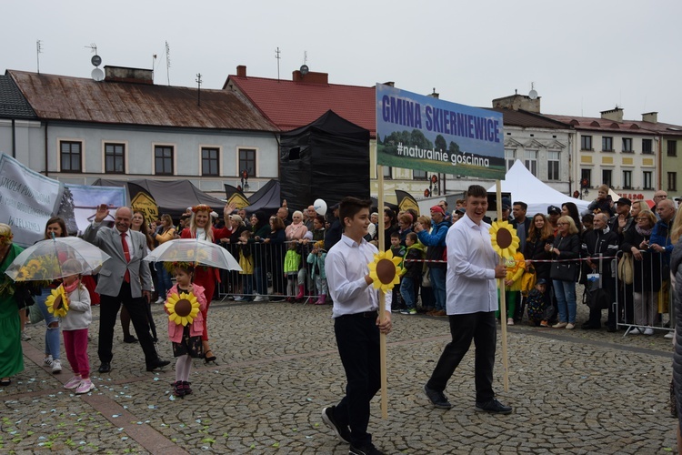 45. Skierniewickie Święto Kwiatów, Owoców i Warzyw. Parada