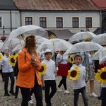 45. Skierniewickie Święto Kwiatów, Owoców i Warzyw. Parada