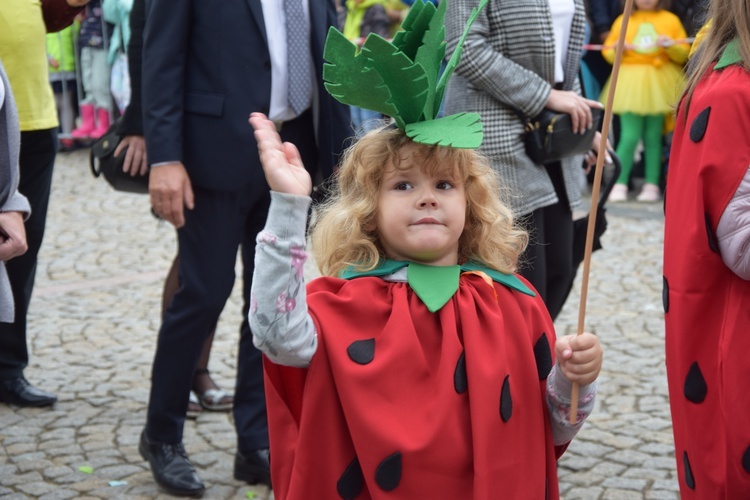 45. Skierniewickie Święto Kwiatów, Owoców i Warzyw. Parada